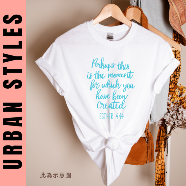 ★美國設計師大學T★ The Moment You Have Been Created T恤/T-shirt  (白色T)